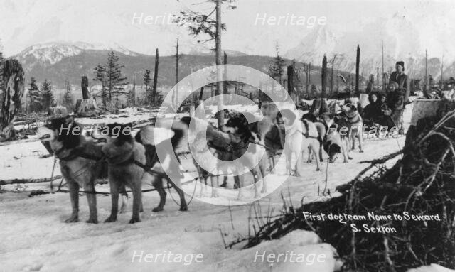 First dog team to go from Nome to Seward, between c1900 and c1930. Creator: S Sexton.