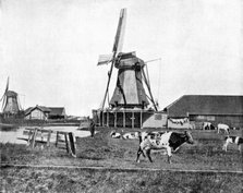 Dutch windmills, Holland, late 19th century. Artist: John L Stoddard