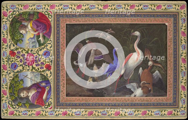 Aquatic Birds at a Pool, Folio from the Davis Album, 18th century. Creator: Unknown.