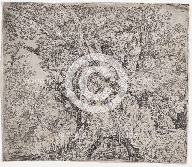 Gnarled Tree, ca. 1608-09. Creator: Roelandt Savery.