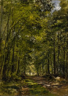 A sunny morning in the forest, 1868. Creator: César de Cock.