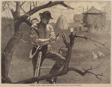 Spring Farm Work - Grafting, published 1870. Creator: Winslow Homer.