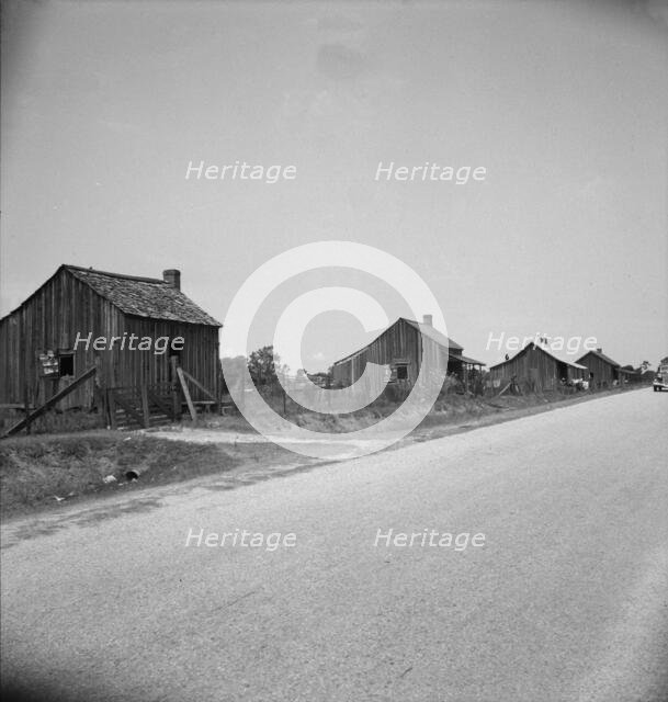 Home of turpentine workers near Godwinsville, Georgia, 1937. Creator: Dorothea Lange.