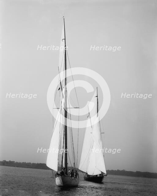 Wasp and Queen Mab, 1894 Sept 22. Creator: John S Johnston.