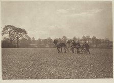 On the farm. From the album: Photograph album - England, 1920s. Creator: Harry Moult.