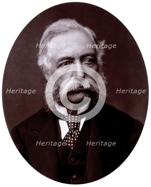 General Sir Daniel Lysons, 1882. Creator: Lock & Whitfield.