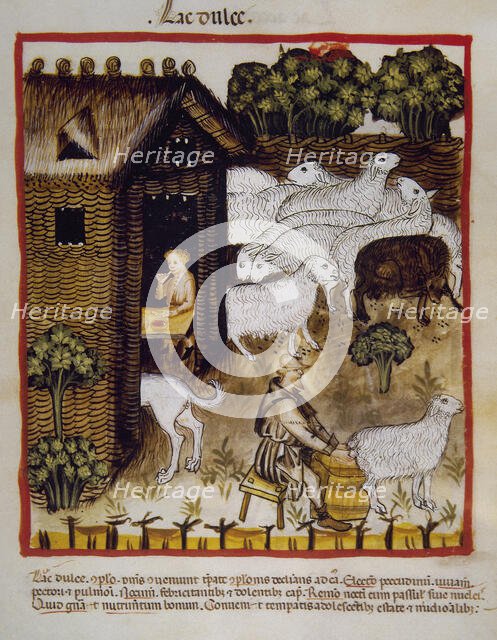 Sweet milk, 14th century.  Creator: Unknown.