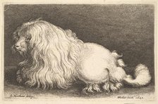 White dog, 1649. Creator: Wenceslaus Hollar.