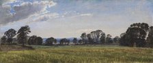 Meadows at Dortheaslyst, 1871-1875. Creator: Peter Christian Thamsen Skovgaard.