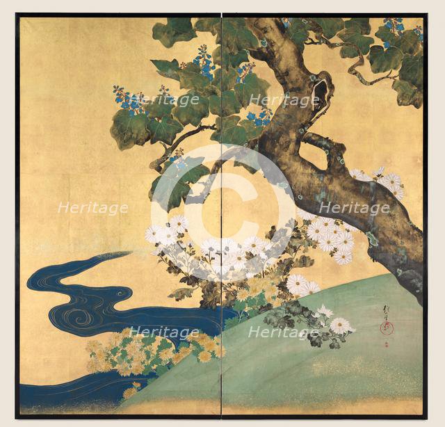 Paulownias and Chrysanthemums, late 1700s-early 1800s. Creator: Sakai Hoitsu (Japanese, 1761-1828).