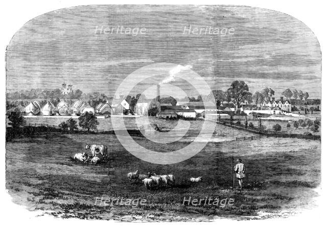 The Prince Consort's Model Farm at Osborne, 1858. Creator: Unknown.