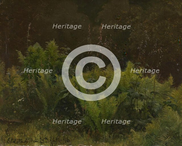 Study of Ferns, 1846. Creator: Hans Gude.