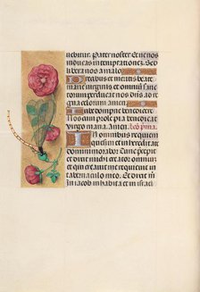 Hours of Queen Isabella the Catholic, Queen of Spain: Fol. 110v, c. 1500. Creator: Master of the First Prayerbook of Maximillian (Flemish, c. 1444-1519); Associates, and.