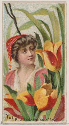 Tulip: A Declaration of Love, from the series Floral Beauties and Language of Flowers (N75..., 1892. Creator: Donaldson Brothers.
