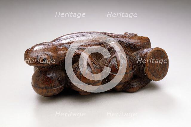 Lizard on Acorn Branch, 18th century. Creator: Unknown.