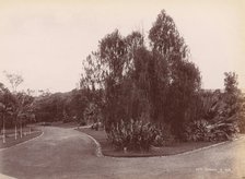 Botanical Garden, 1860s-70s. Creator: Unknown.