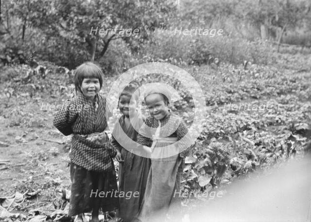 Three Ainu children standing in a garden, 1908. Creator: Arnold Genthe.