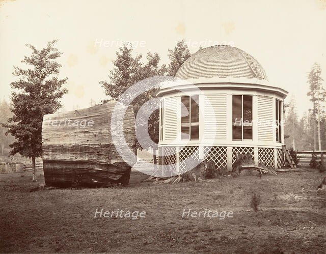 The House over a Stump of a Big Tree, 1865-66, printed ca. 1876. Creator: Carleton Emmons Watkins.
