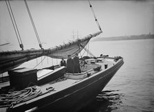 Pilot boat no. 5, between 1900 and 1905. Creator: Unknown.