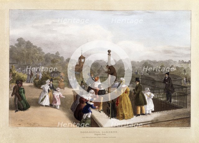 The Zoological Gardens at Regent's Park, London, 1835.  Artist: Charles Joseph Hullmandel