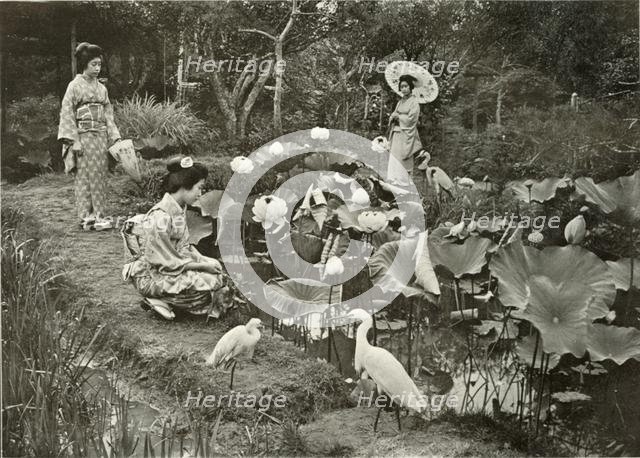 'In Lotus-Land', 1910. Creator: Herbert Ponting.