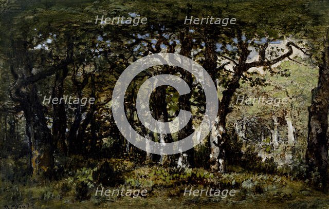 Edge of the Forest, c1860-1870. Creator: Narcisse Virgile Diaz de la Pena.