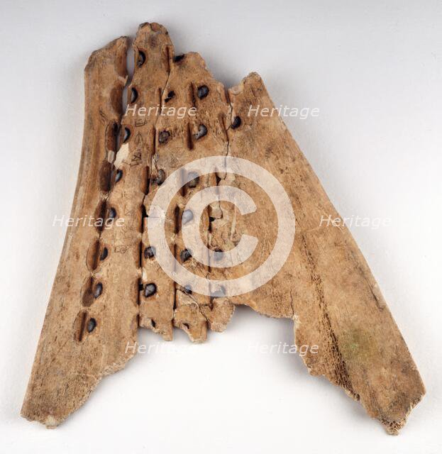 Chinese oracle bone, 16th-10th century BC.  Creator: Unknown.