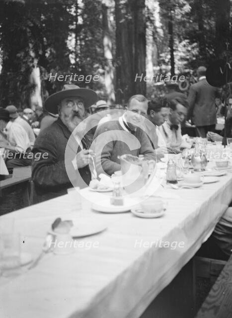 Bohemian Club Grove scene, between 1896 and 1911. Creator: Arnold Genthe.
