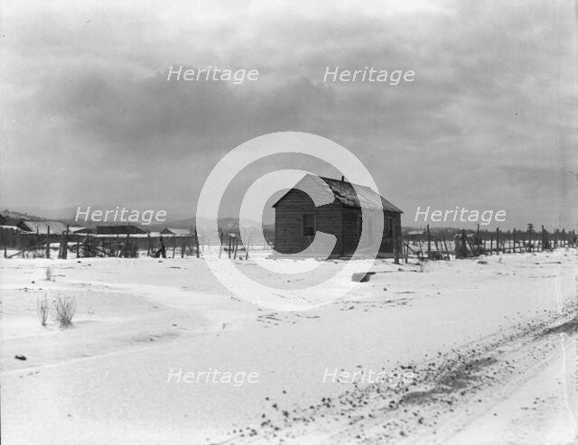 Typical home, still occupied, Widtsoe, Utah, 1936. Creator: Dorothea Lange.