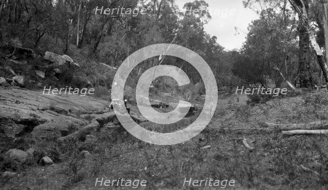 Australian bush scene, c1900s. Creator: Robert Augustus Henry L'Estrange.