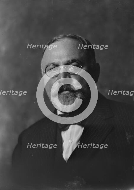 Mr. Fred A. Muschenheim, portrait photograph, 1919 Aug. 12. Creator: Arnold Genthe.