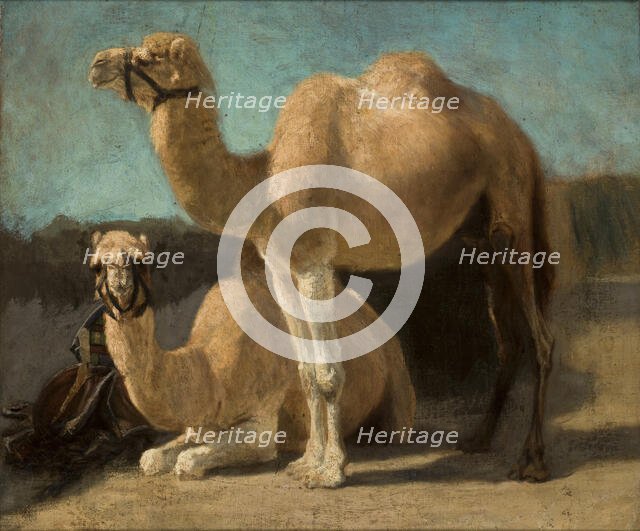 Two Camels, between 1852-1853. Creator: Henryk Rodakowski.