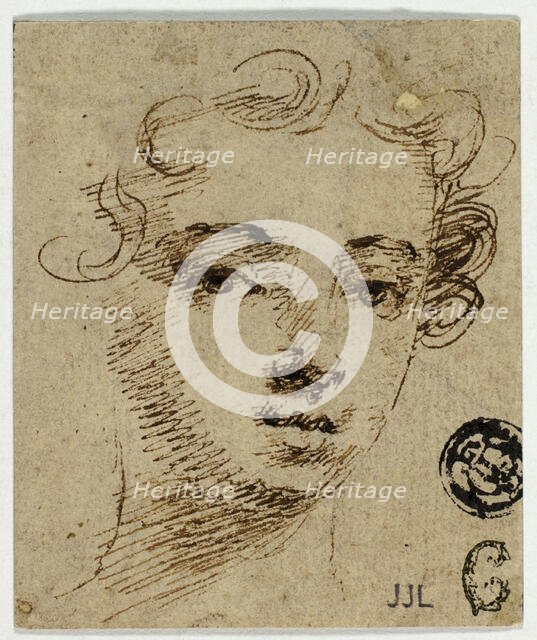 Head of Young Woman, n.d. Creator: Peter Lely.