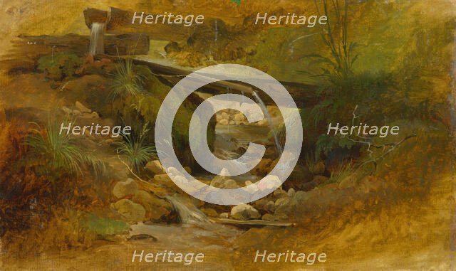 Mountain stream, 1860-1890. Creator: Friedrich Carl von Scheidlin.