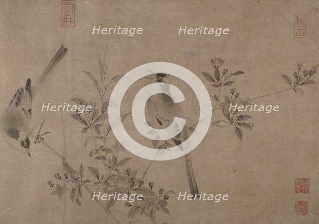 Chinese Bulbuls on Flowering Cherry-Apple. Creator: Unknown.