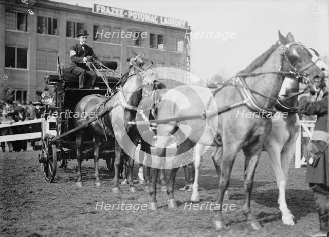Horse Shows - Adolphus Busch, 3rd of St. Louis, 1911. Creator: Harris & Ewing.