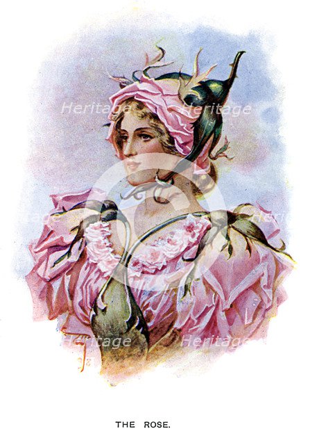 'The Rose', 1899. Artist: Unknown