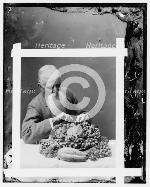 Hendley, John. Wax worker, Agriculture Dept. (His art died with him), between 1890 and 1910. Creator: Unknown.