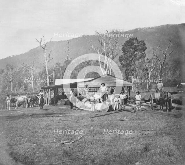 Saw mill, possibly Coomera region, Queensland, c1880s. Creator: Robert Augustus Henry L'Estrange.