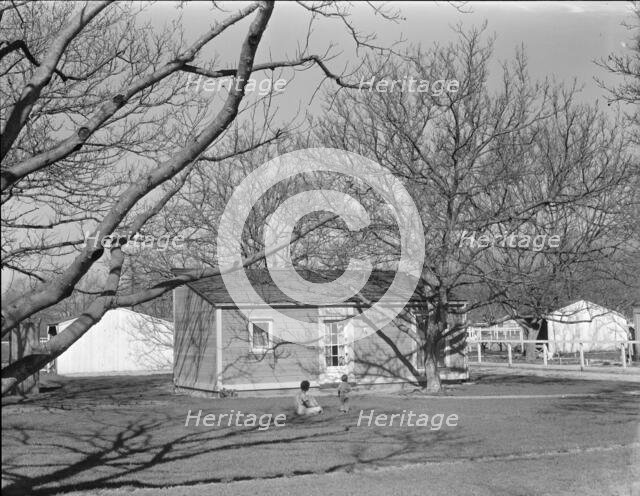 El Monte federal subsistence housing - 100 homes all occupied, California, 1936. Creator: Dorothea Lange.