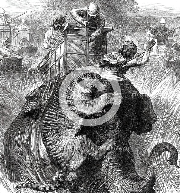 The Prince of Wales in the Nepaul Terai: Colonel Sir Arthur Ellis...with a Tiger...1876. Creator: Unknown.