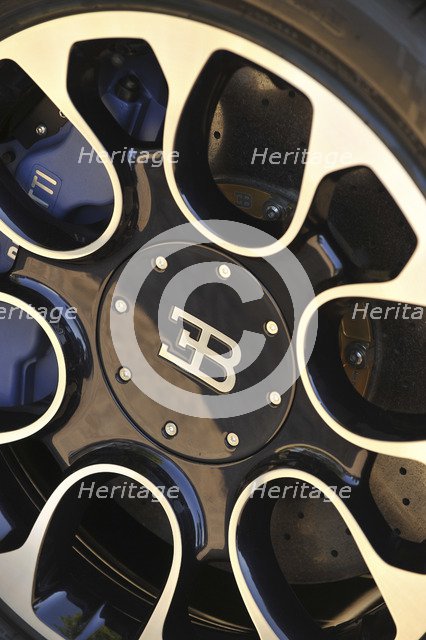 2009 Bugatti Veyron Sang Bleu Artist: Unknown.