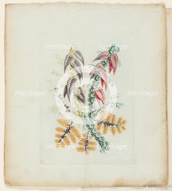 Plate, from New Suite of Notebooks of Ideal Flowers for Use by Draftsmen and Painters, c. 1795. Creator: Anne Allen.