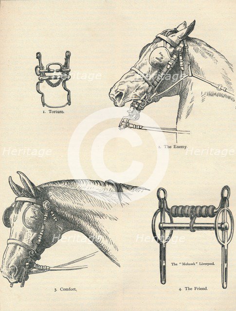 Horse bits, good and bad, c1909 (c1910). Artist: Unknown.