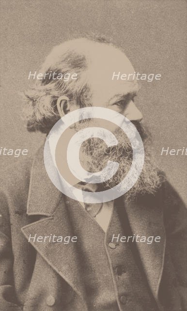 Portrait of the composer Robert von Hornstein (1833-1890). Creator: Hanfstaengl, Franz (1804-1877).