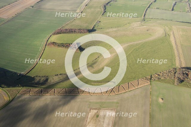 Field system earthwork, strip lynchet earthwork and the Giant's Grave Long Barrow, Wiltshire, 2017 Creator: Damian Grady.