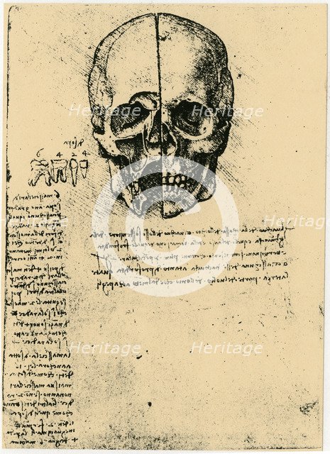 Anatomical sketch of a human skull, c1472-1519. Artist: Leonardo da Vinci