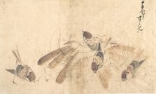 Sparrows, ca. 1825. Creator: Hokusai.