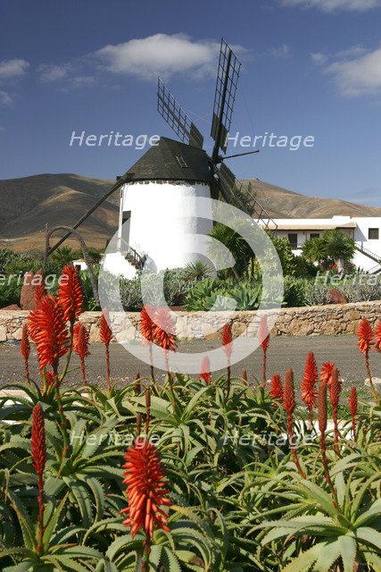 Windmill, Antigua, Fuerteventura, Canary Islands.
