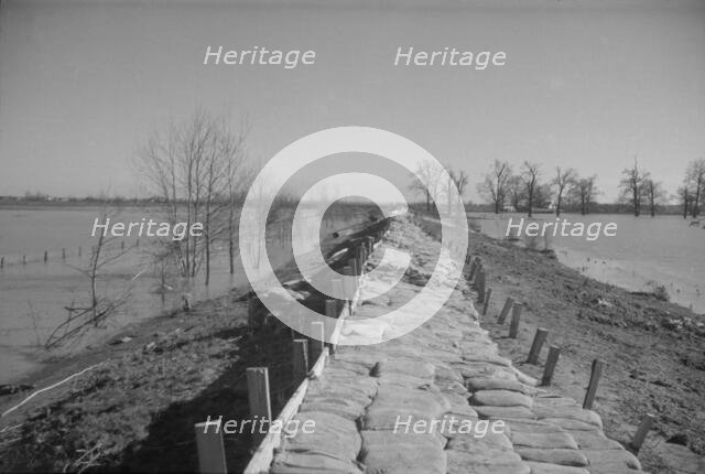 The Bessie Levee augmented with sand bags, near Tiptonville, Tennessee, 1937. Creator: Walker Evans.